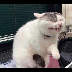 Meet your Posher, Andre